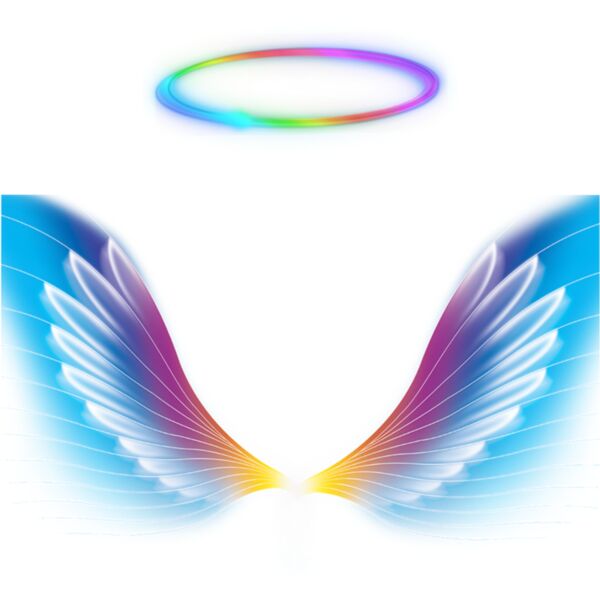 Rainbow Wings Thumbnail