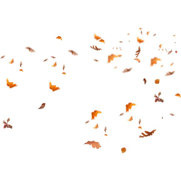 Fall Leaves Thumbnail